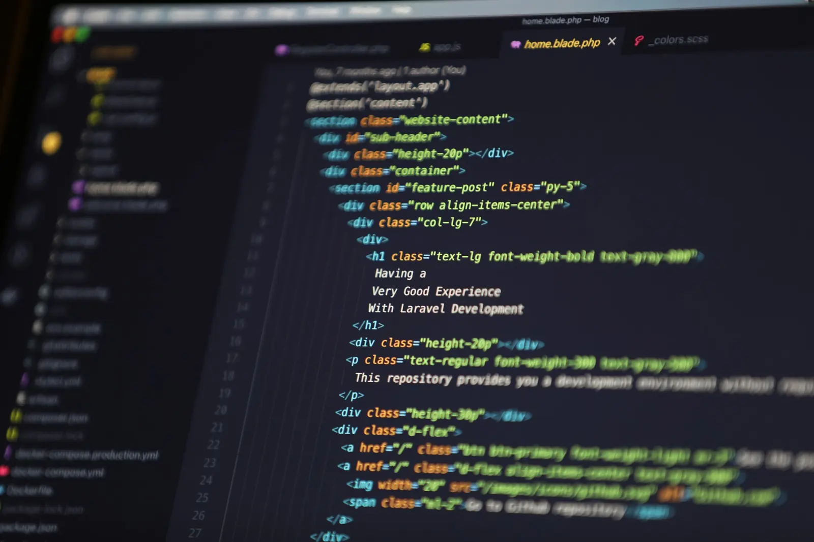 Code editor showing website source code